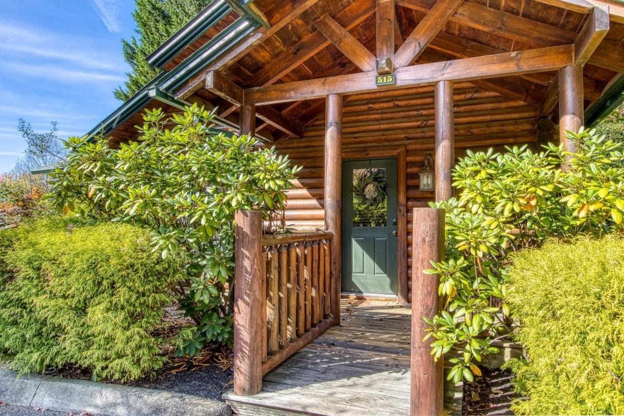 Hébergement de vacances Dog Friendly, Romantic Mtn Getaway Hot Tub Pool Gatlinburg